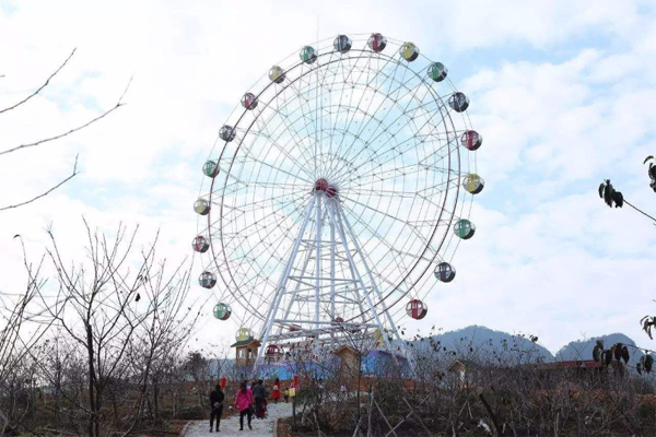 戶外大型摩天輪